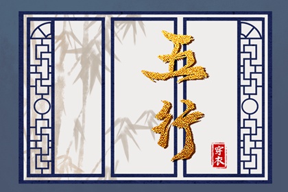 详细命盘解析,命盘免费测算,专业命盘解析,紫微流年排盘免费,紫薇星斗数命盘,看紫薇命盘